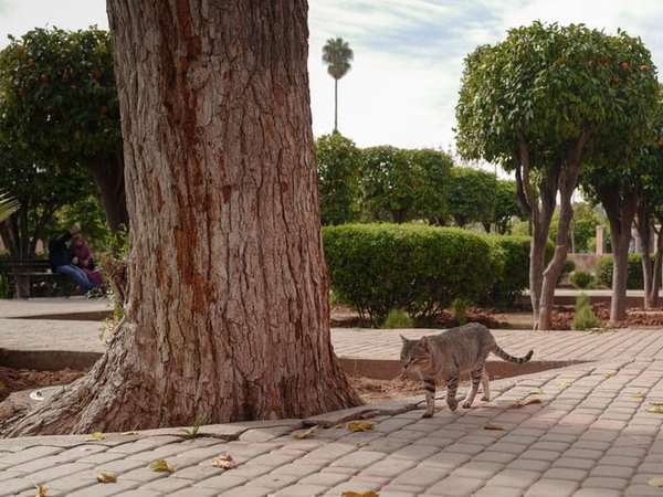 Article featured image