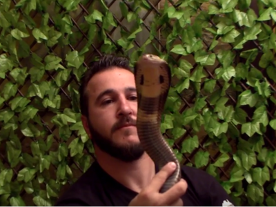 Article featured image