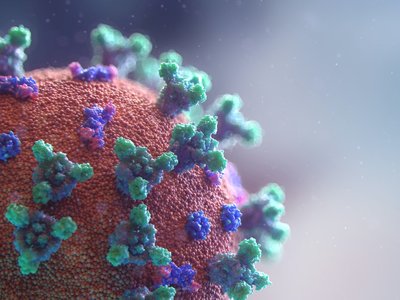 Article featured image