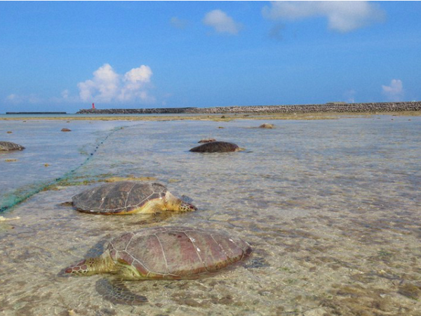 Article featured image