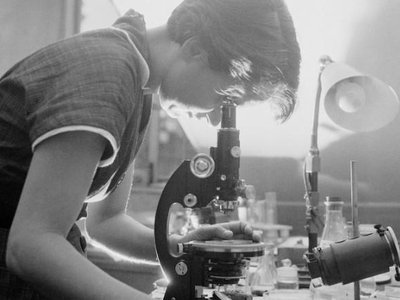 Article featured image