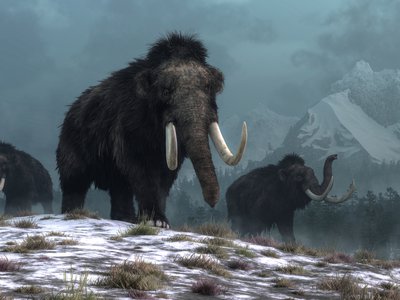 Article featured image