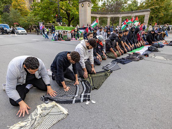 Article featured image