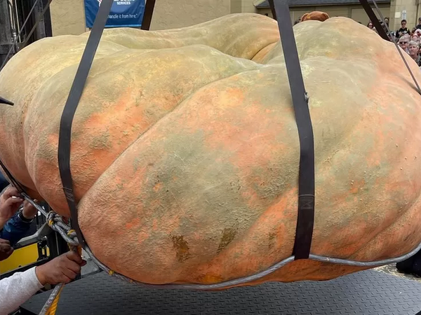 Article featured image