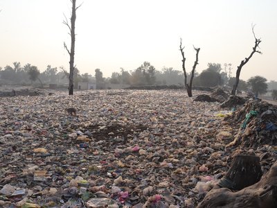 Article featured image