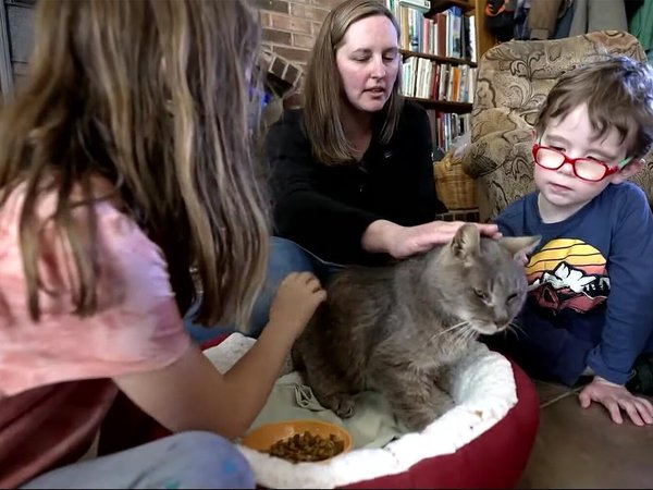 Article featured image