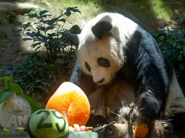 Article featured image