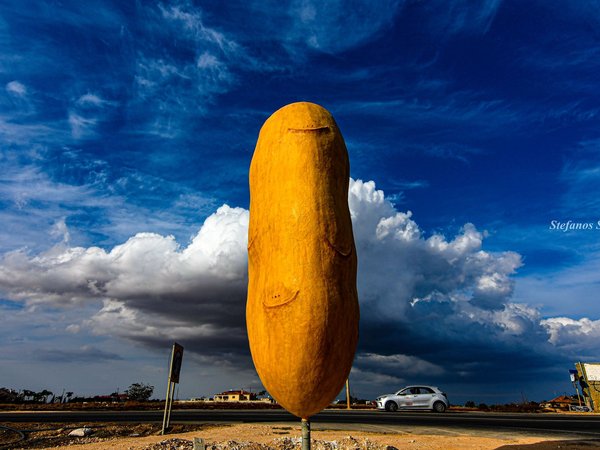 Article featured image