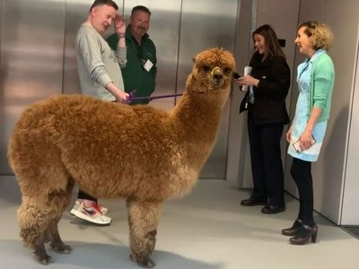 Article featured image