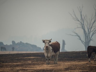 Article featured image