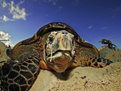Article featured image