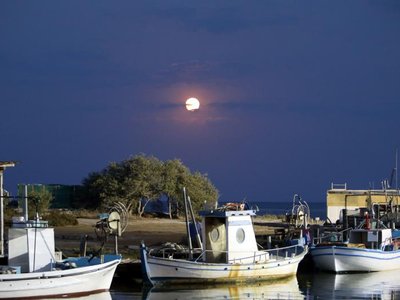 Article featured image