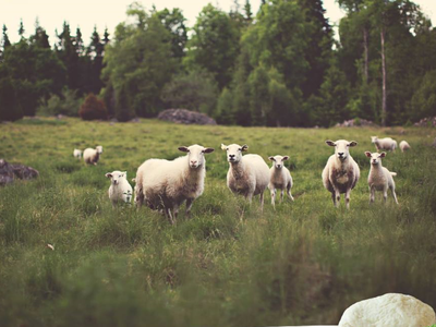 Article featured image