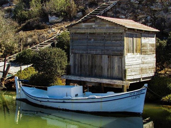 Article featured image