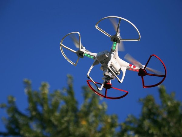 Article featured image