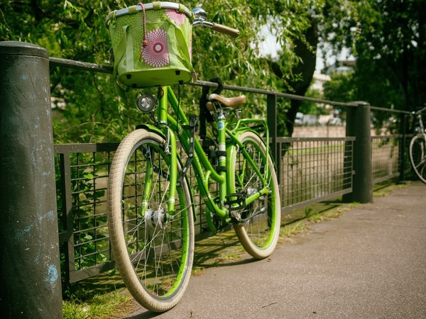 Article featured image