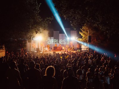 Article featured image