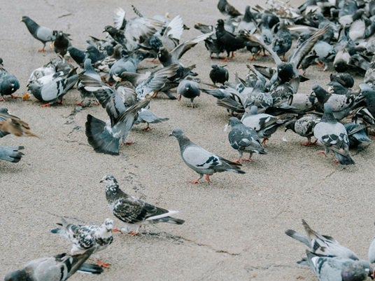 Article featured image