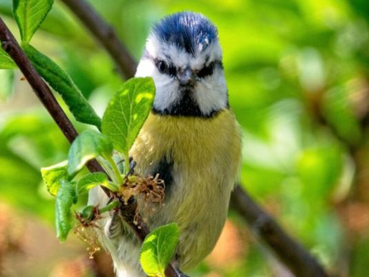 Article featured image