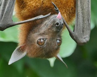 Article featured image