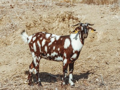 Article featured image