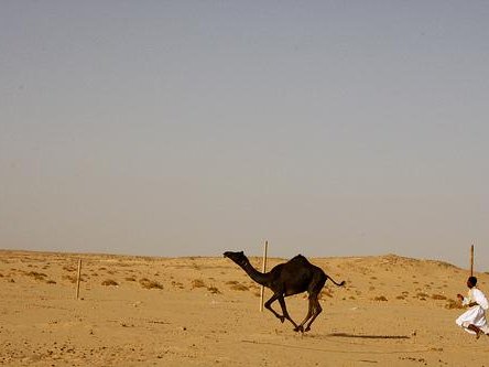 Article featured image