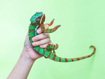 Article featured image