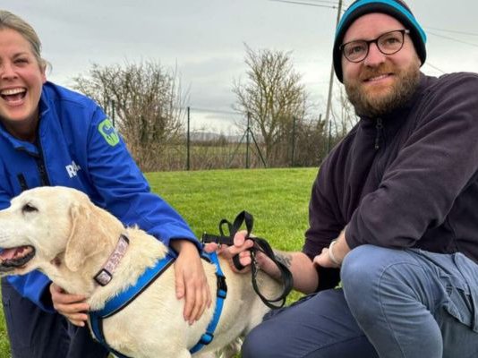 Article featured image