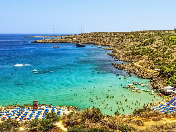 Article featured image