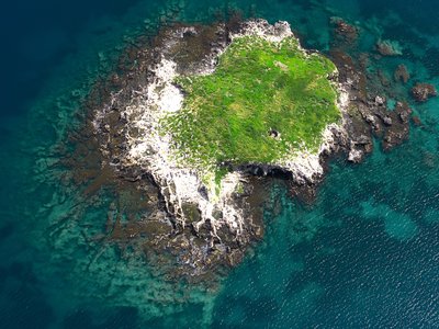 Article featured image