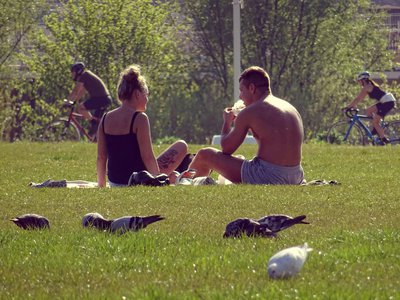 Article featured image