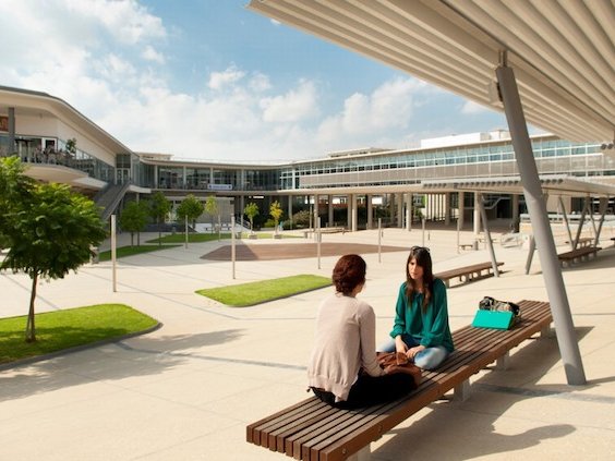 Article featured image