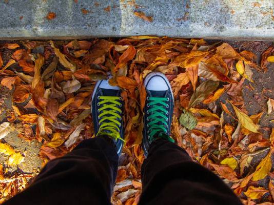 Article featured image