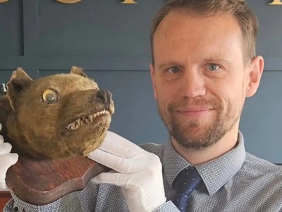 Article featured image