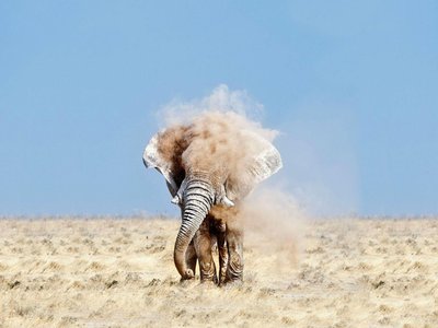 Article featured image