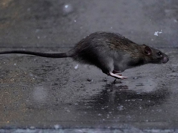 Article featured image