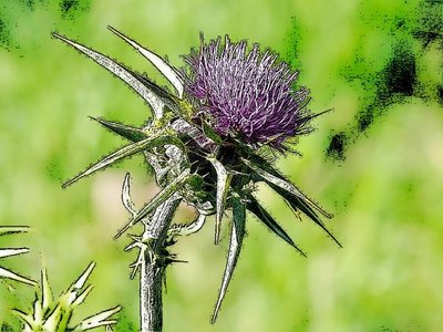 Article featured image