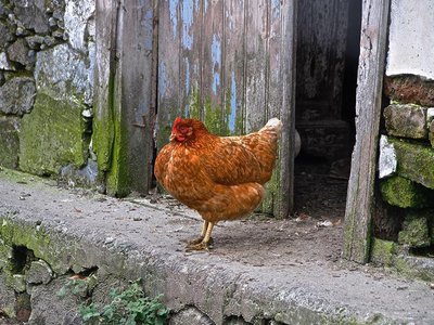 Article featured image