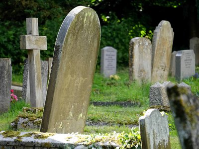 Article featured image