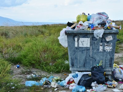 Article featured image