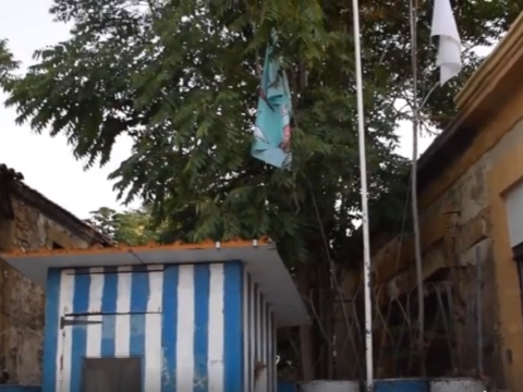 Article featured image