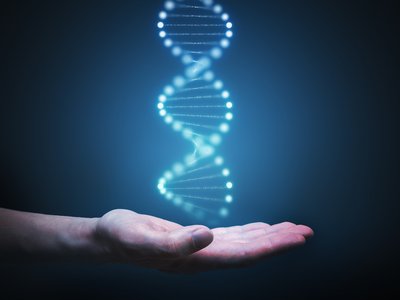 Article featured image