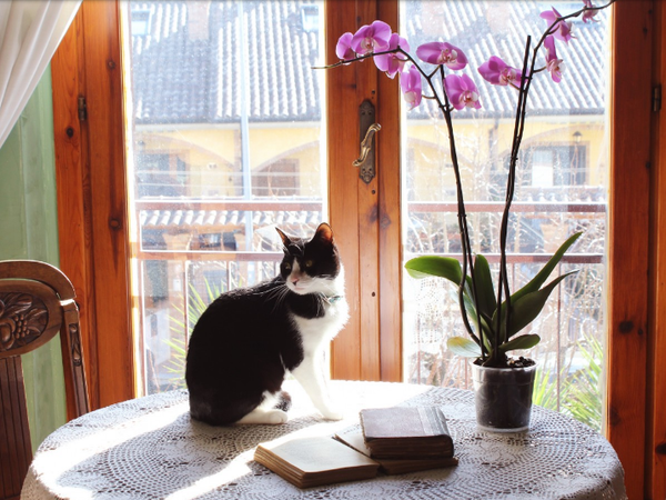 Article featured image