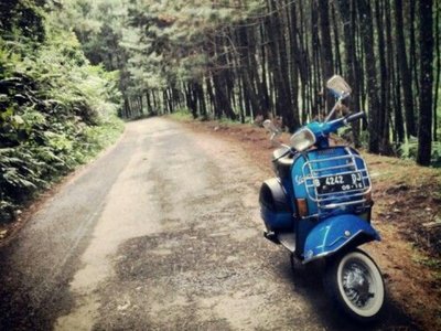 Article featured image