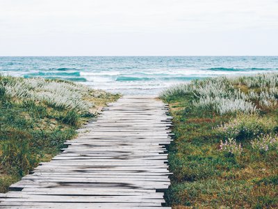 Article featured image