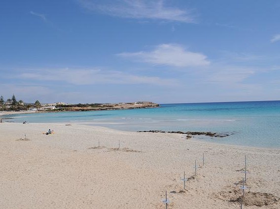 Article featured image