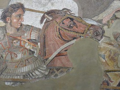 Article featured image