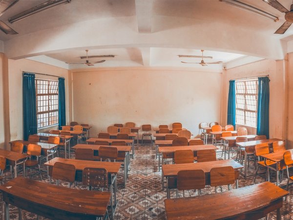 Article featured image