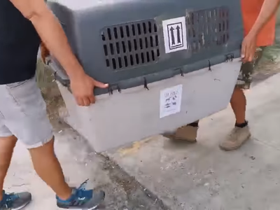 Article featured image