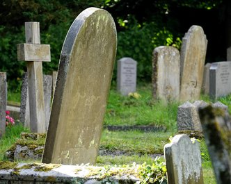 Article featured image